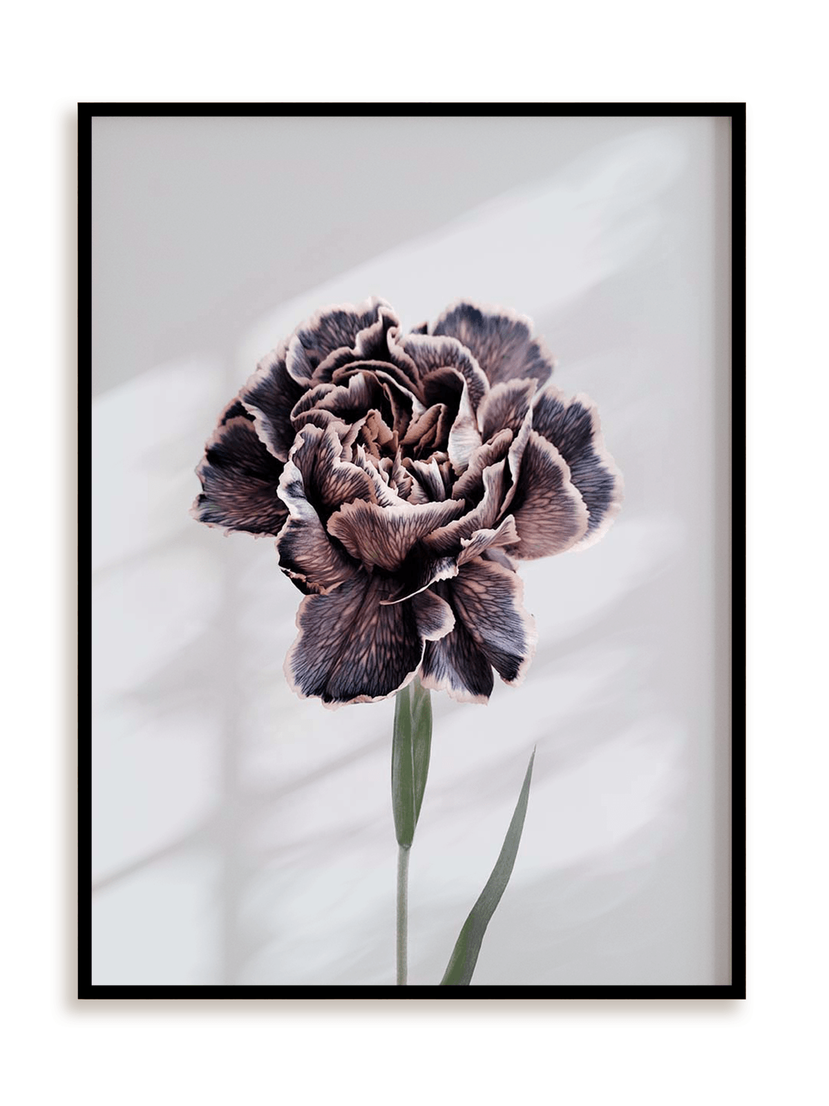 Plakat Violet perfection w ramie aluminiowej