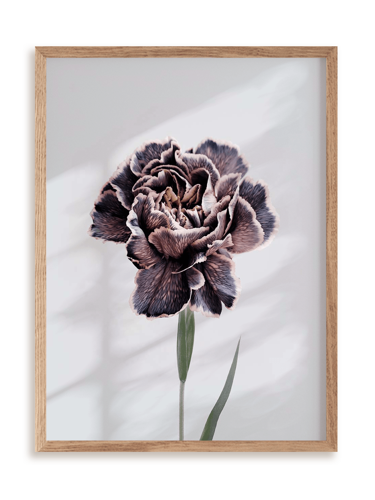 Plakat Violet perfection w ramie drewnianej