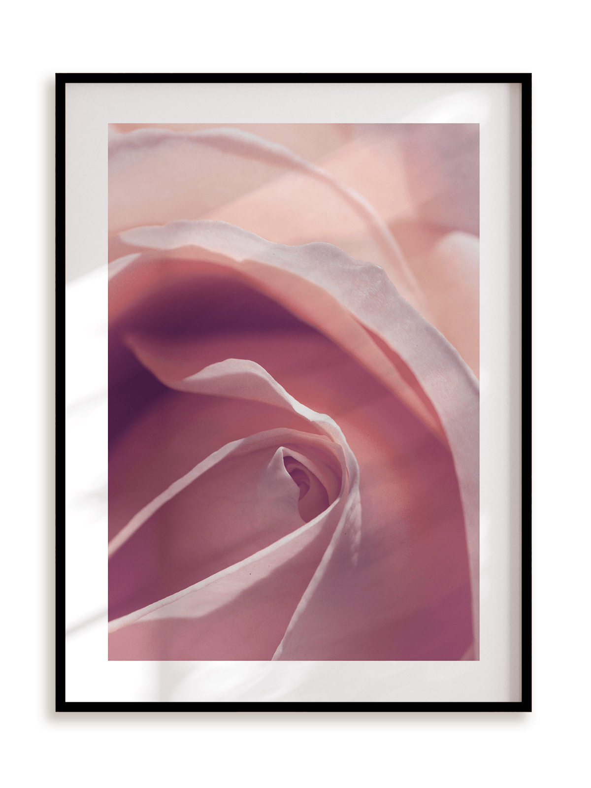 Plakat Roses make my heart smile w ramie aluminiowej