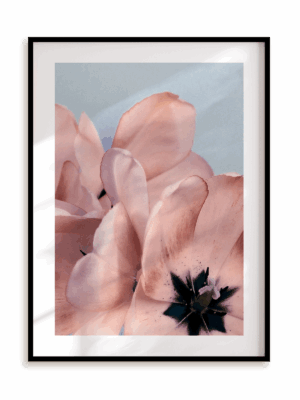 Plakat Kwiatowe ombre II w ramie aluminiowej