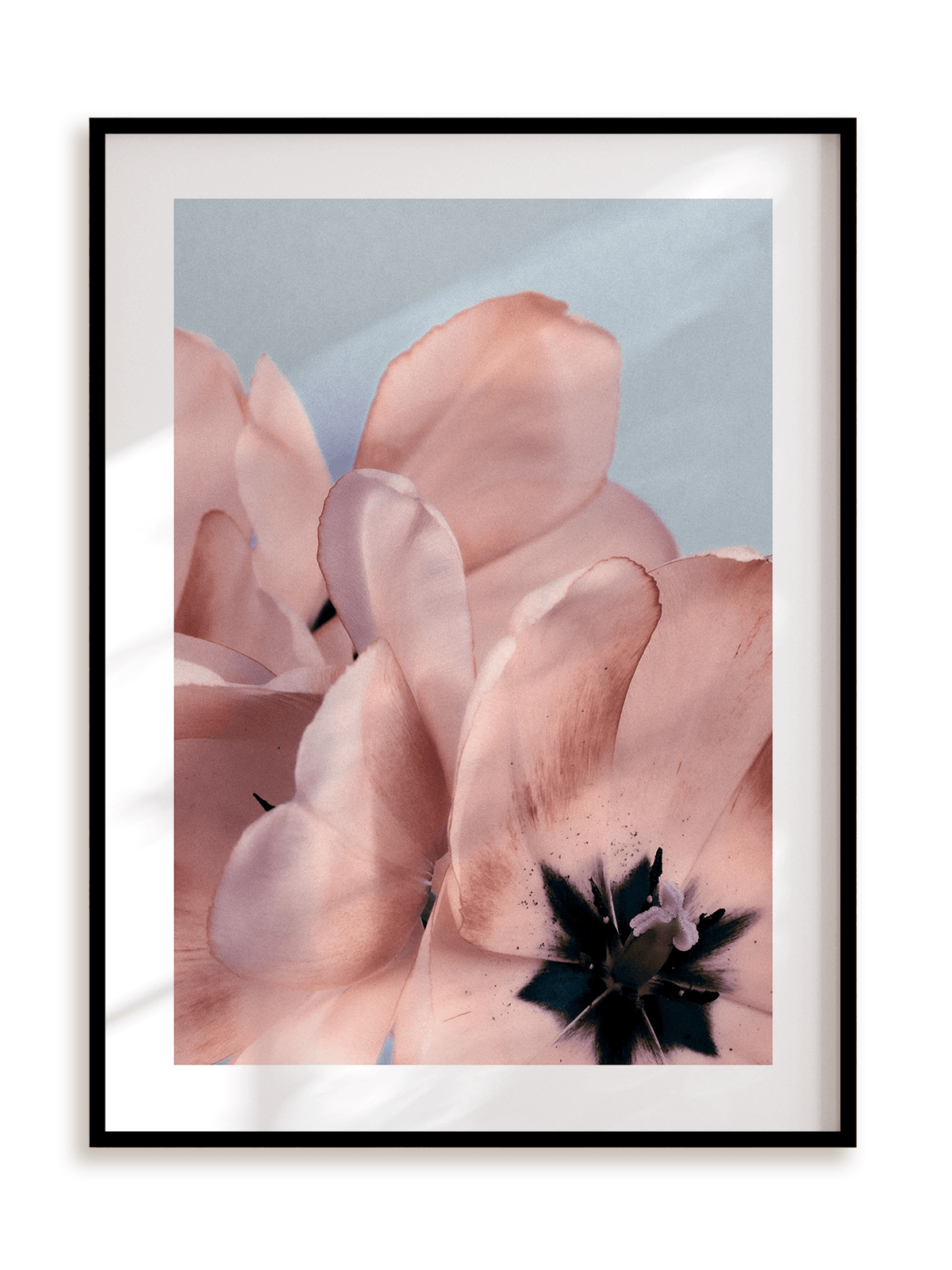 Plakat Kwiatowe ombre II w ramie aluminiowej