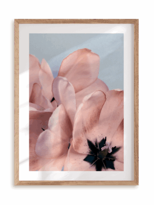 Plakat Kwiatowe ombre II w ramie drewnianej