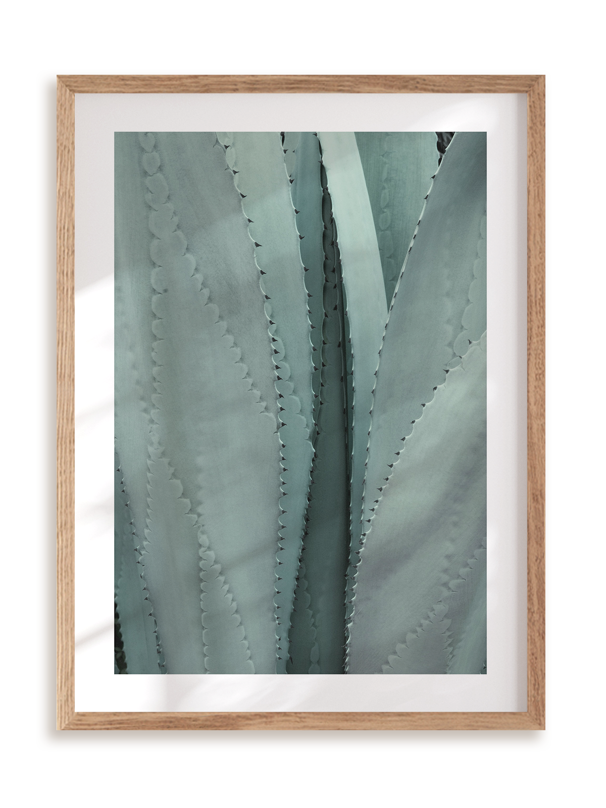 Plakat Ale agawa w ramie drewnianej