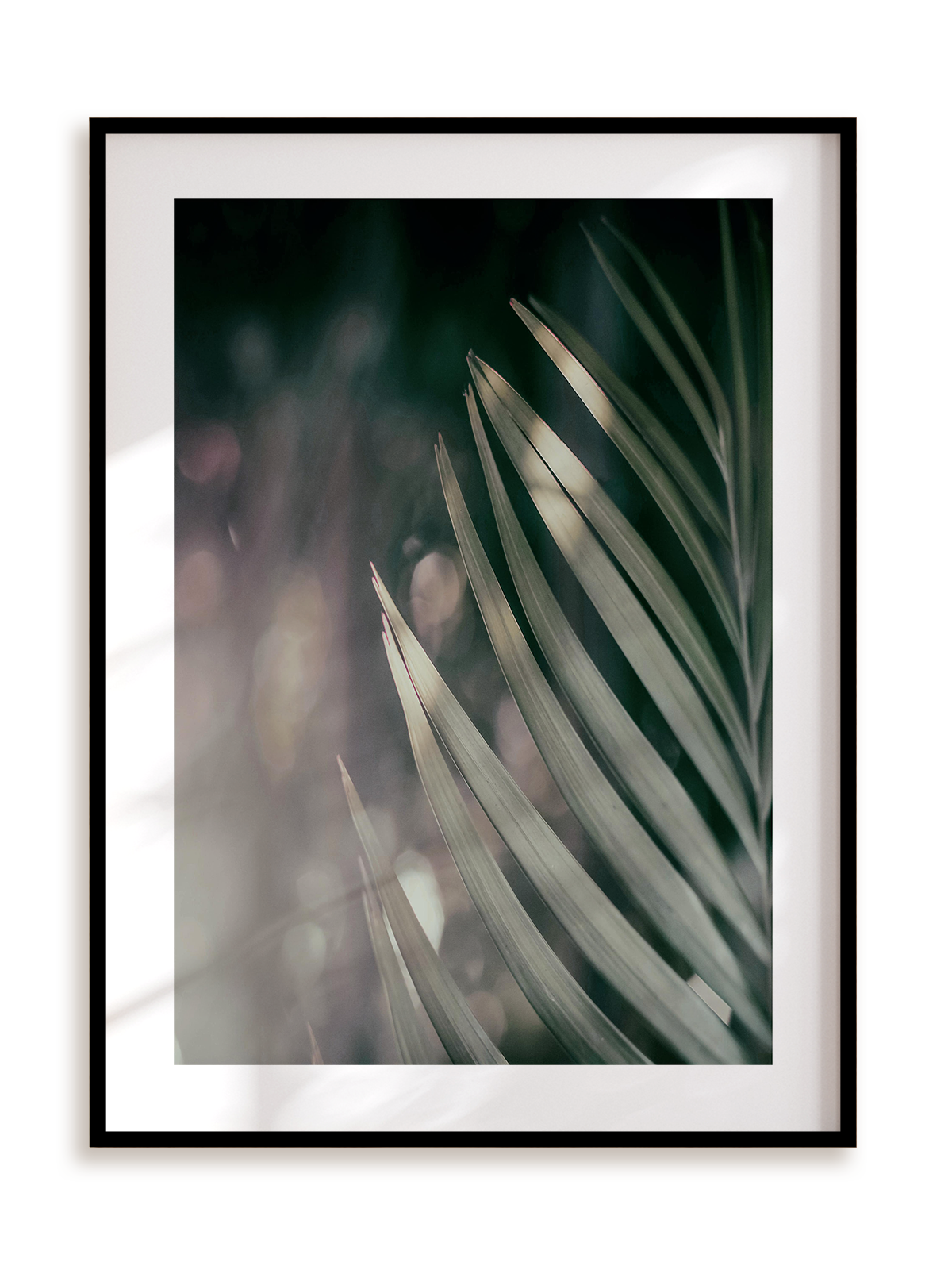 Plakat Botaniczna połowa w ramie aluminiowej