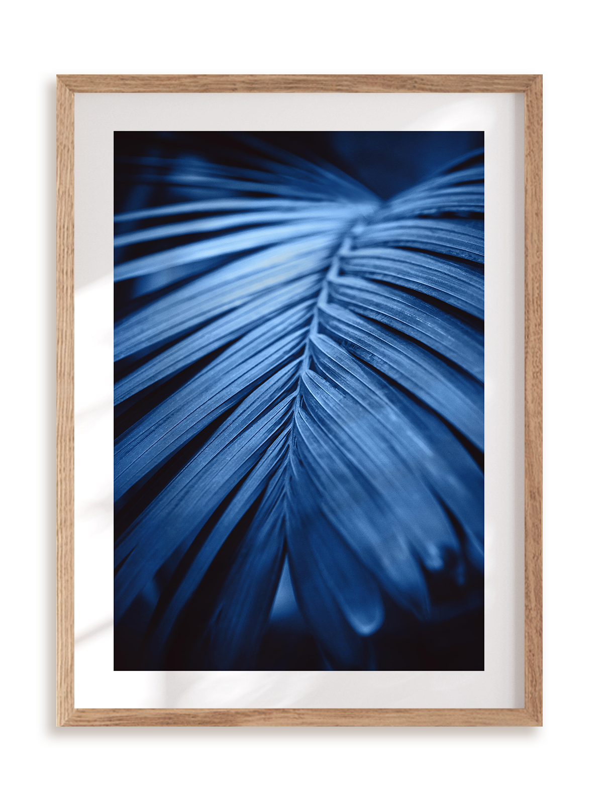 Plakat Blue palm w ramie drewnianej