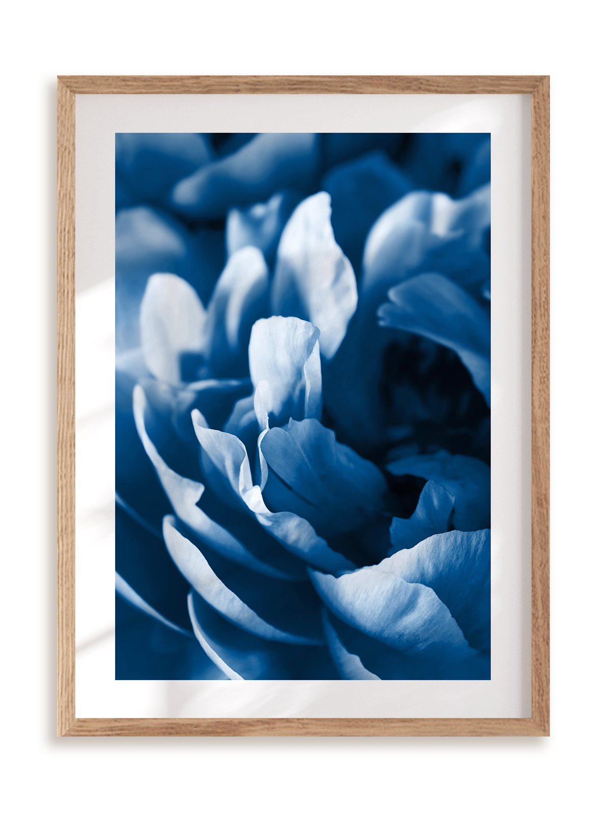 Plakat Blue petals w ramie drewnianej