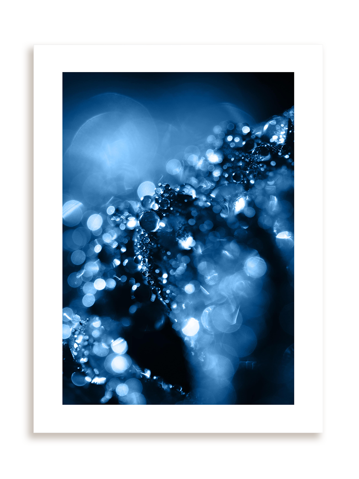 Plakat Blue drops bez ramy