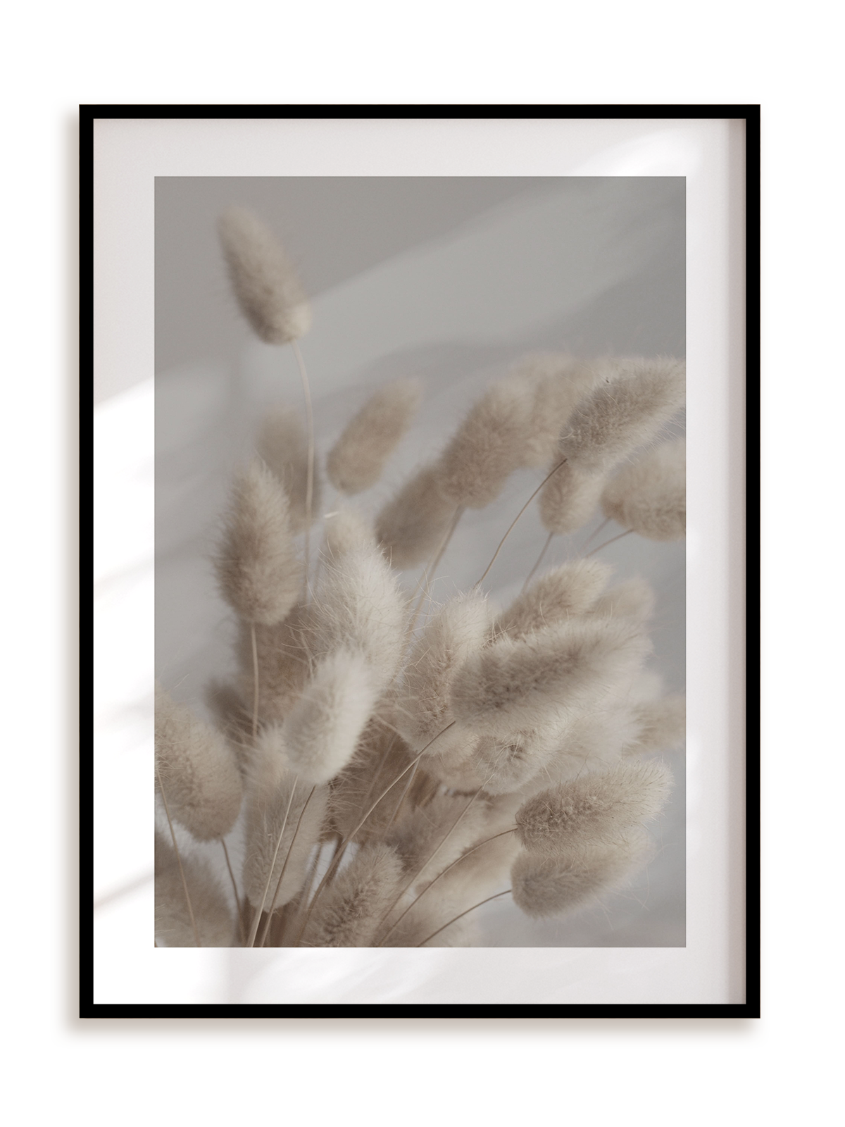 Plakat Puchaty bukiet w ramie aluminiowej