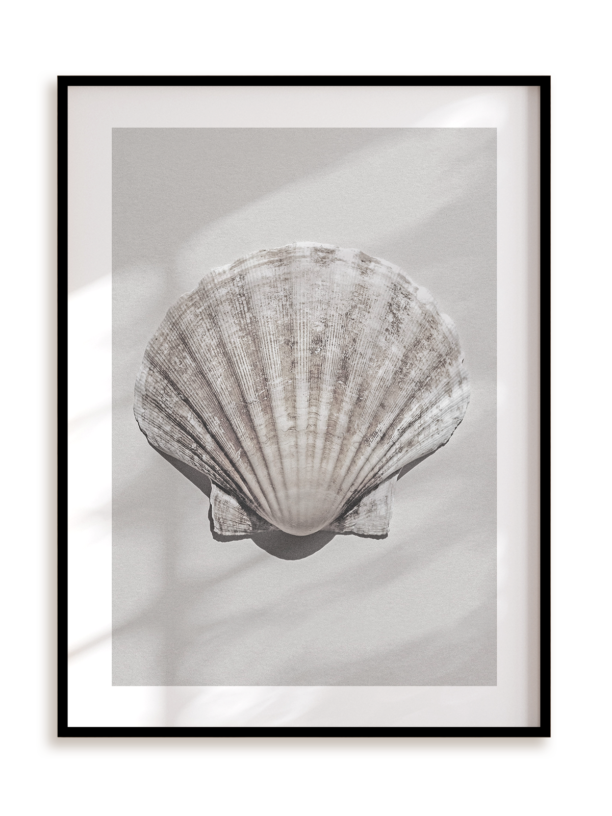 Plakat Muszla w ramie aluminiowej