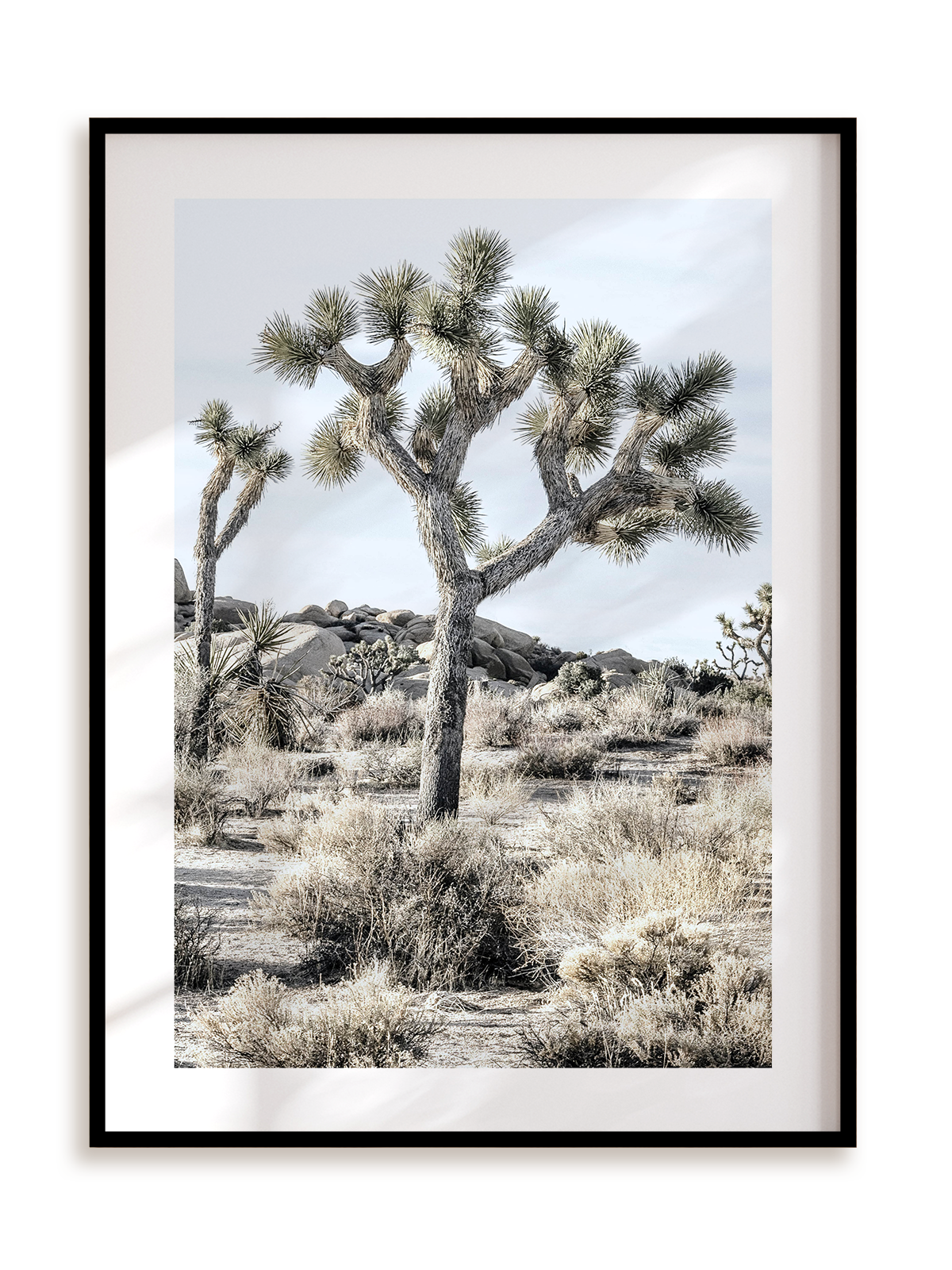 Plakat Joshua Tree w ramie aluminiowej