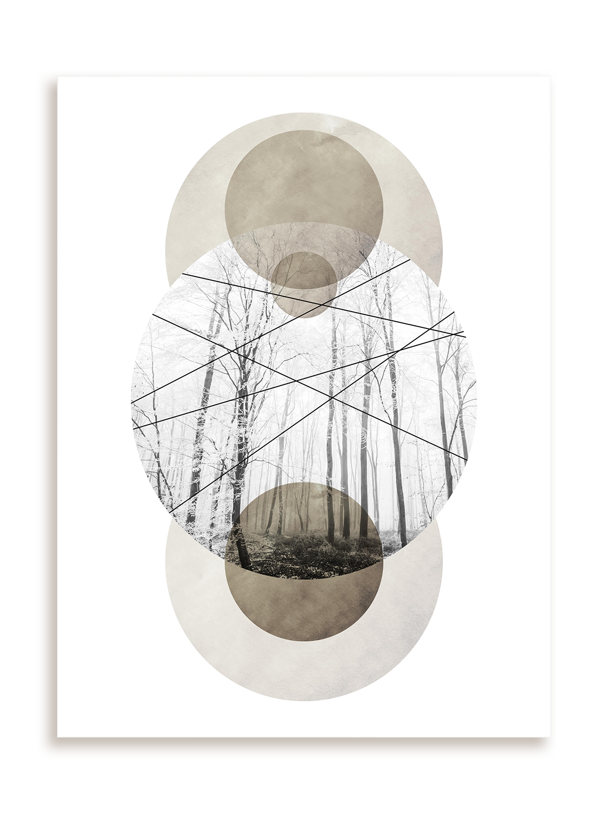 Plakat Krajobrazowa geometria - las bez ramy