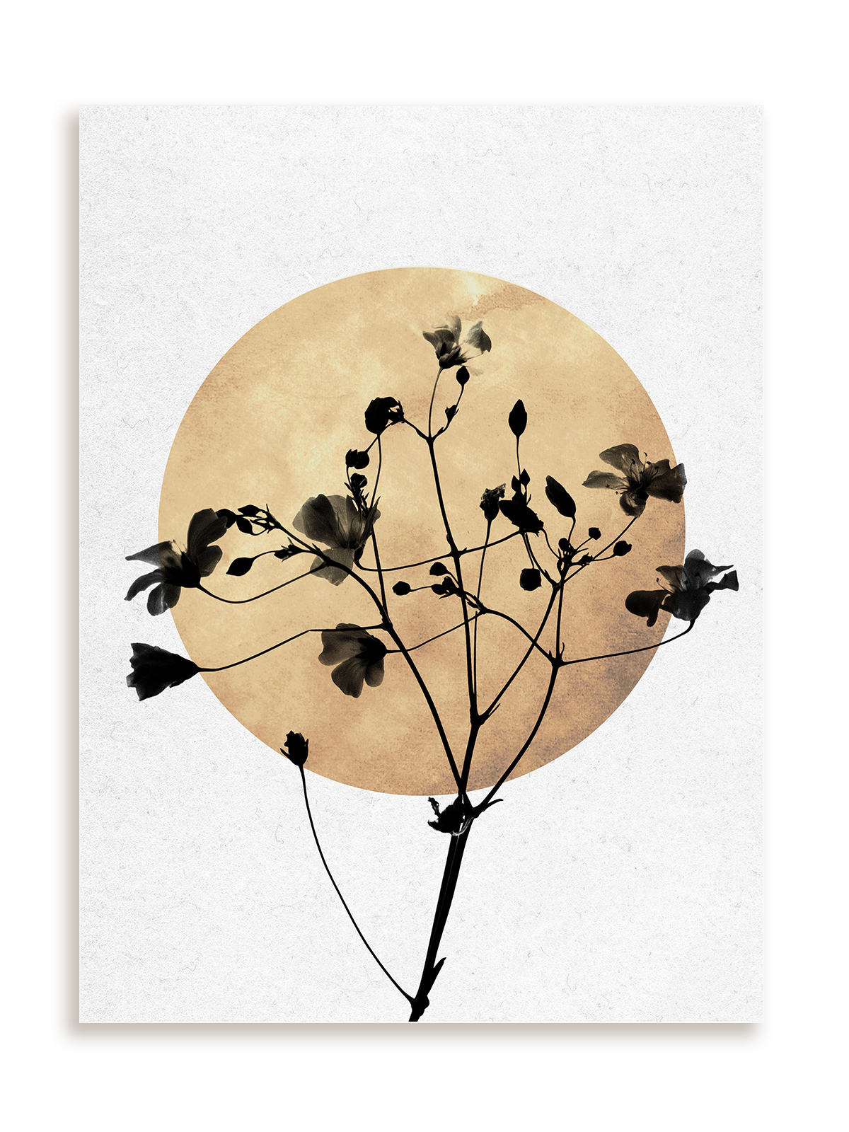 Plakat Dark plant bez ramy