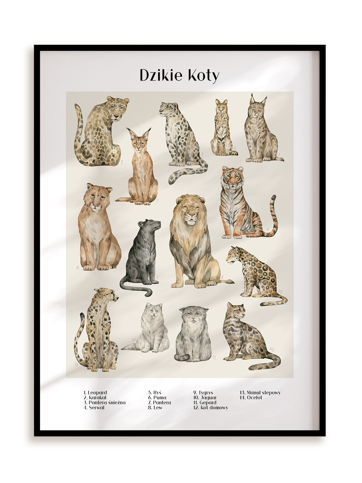 Plakat Dzikie koty w ramie aluminiowej
