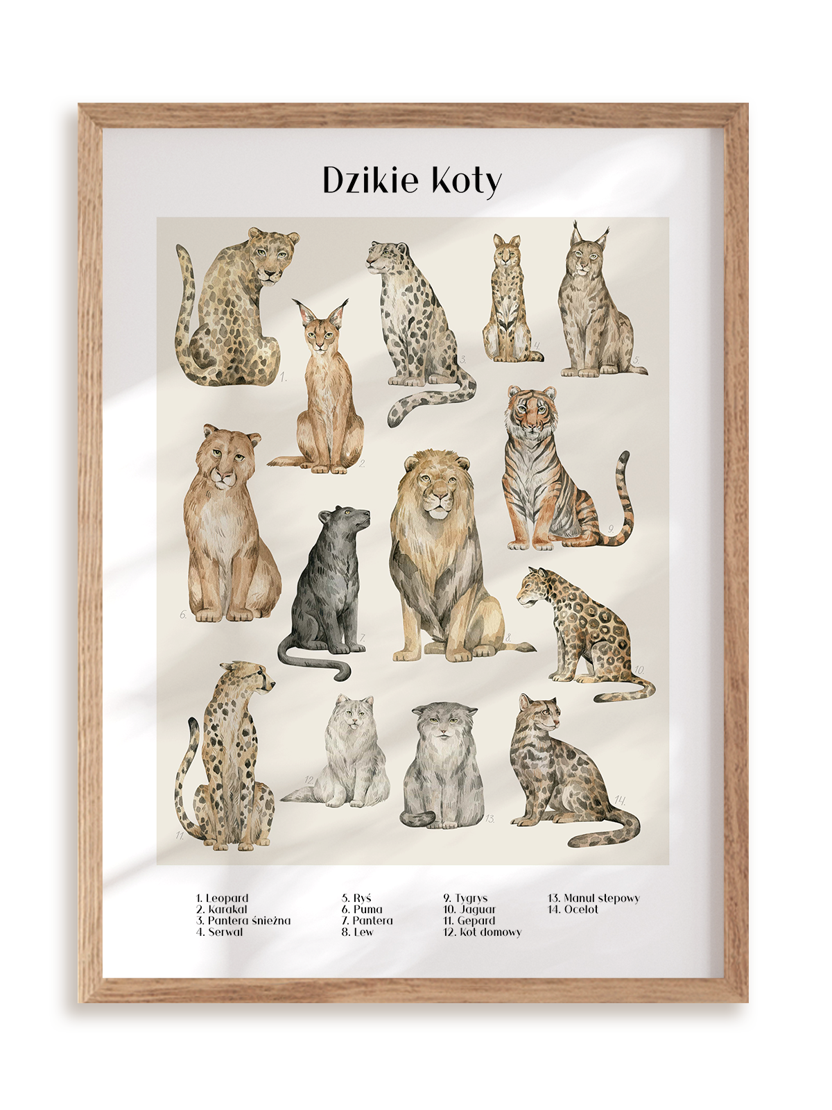Plakat Dzikie koty w ramie drewnianej