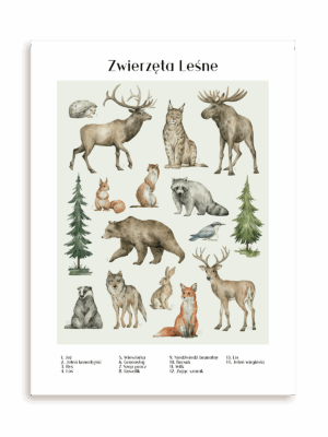 Plakat Zwierzęta leśne bez ramy