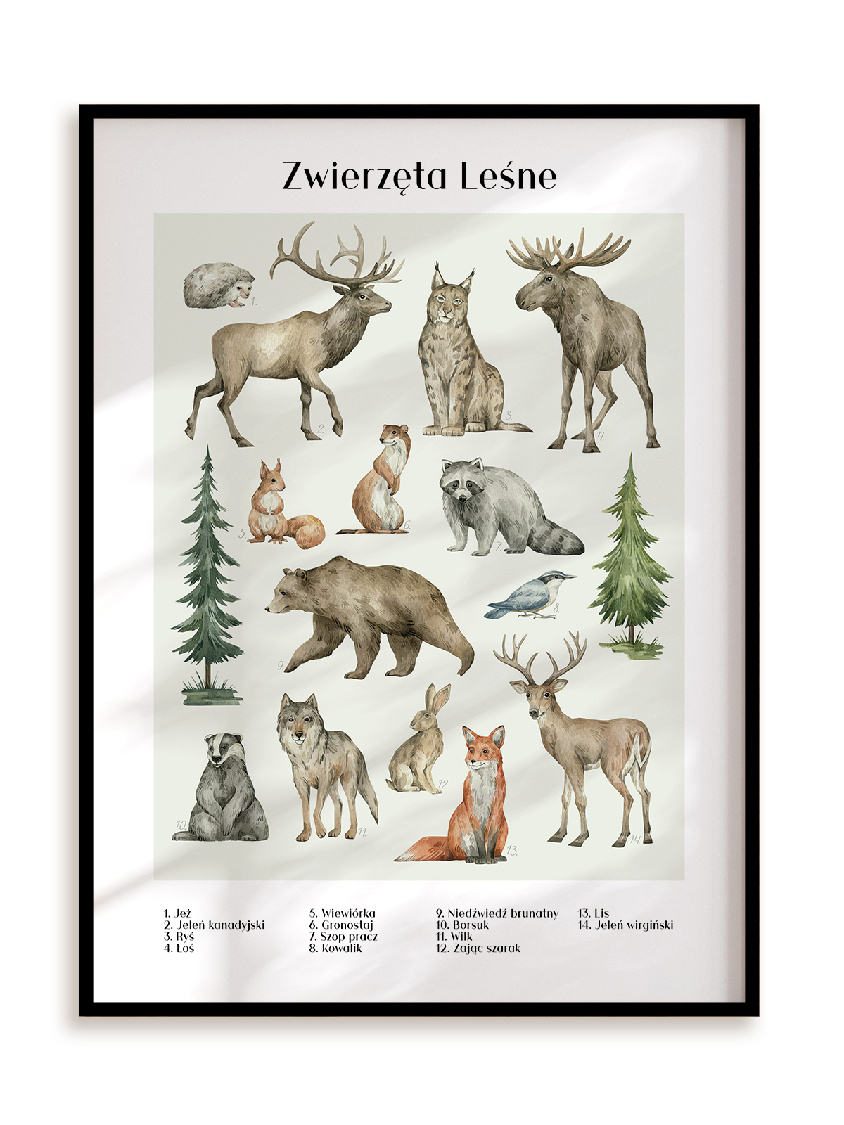 Plakat Zwierzęta leśne w ramie aluminiowej