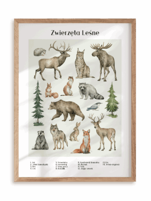 Plakat Zwierzęta leśne w ramie drewnianej