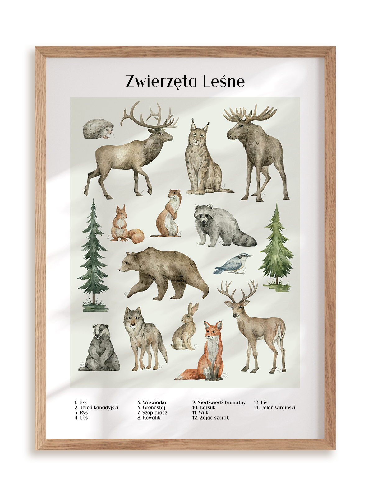 Plakat Zwierzęta leśne w ramie drewnianej