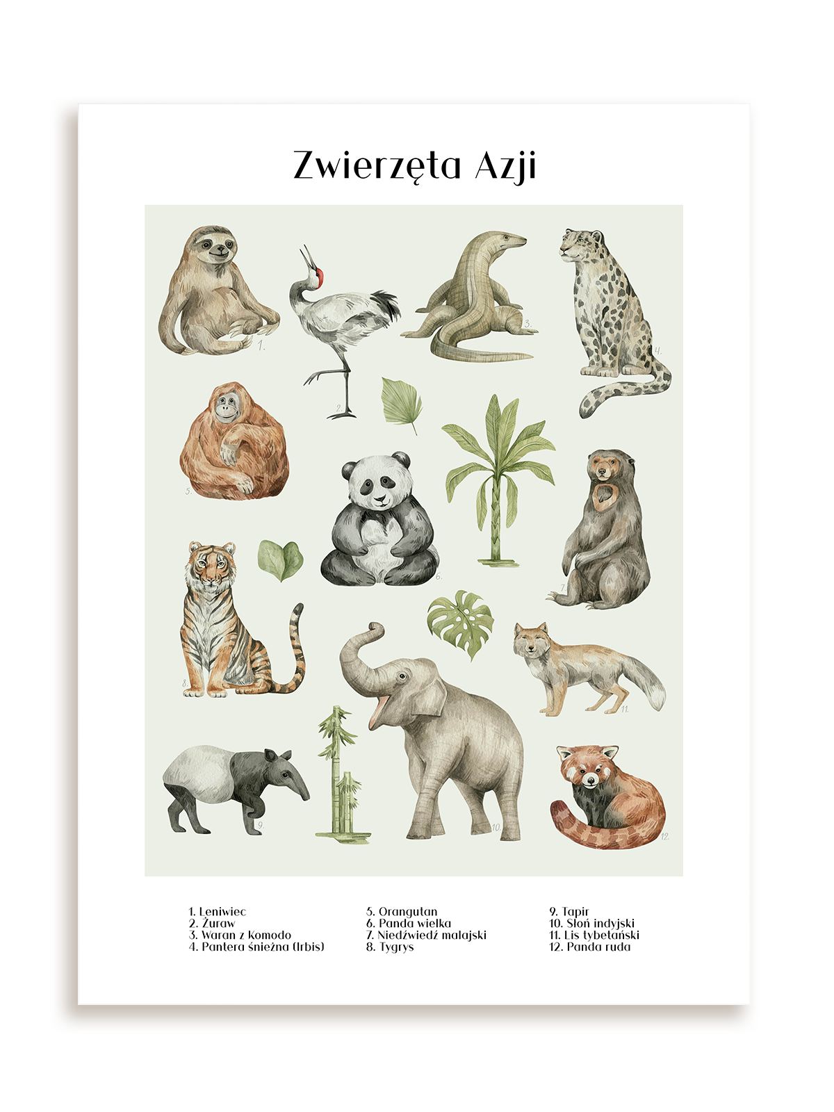 Plakat Zwierzęta w Azji bez ramy