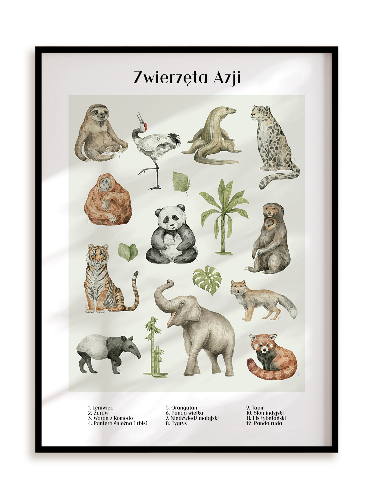 Plakat Zwierzęta w Azji w ramie aluminiowej