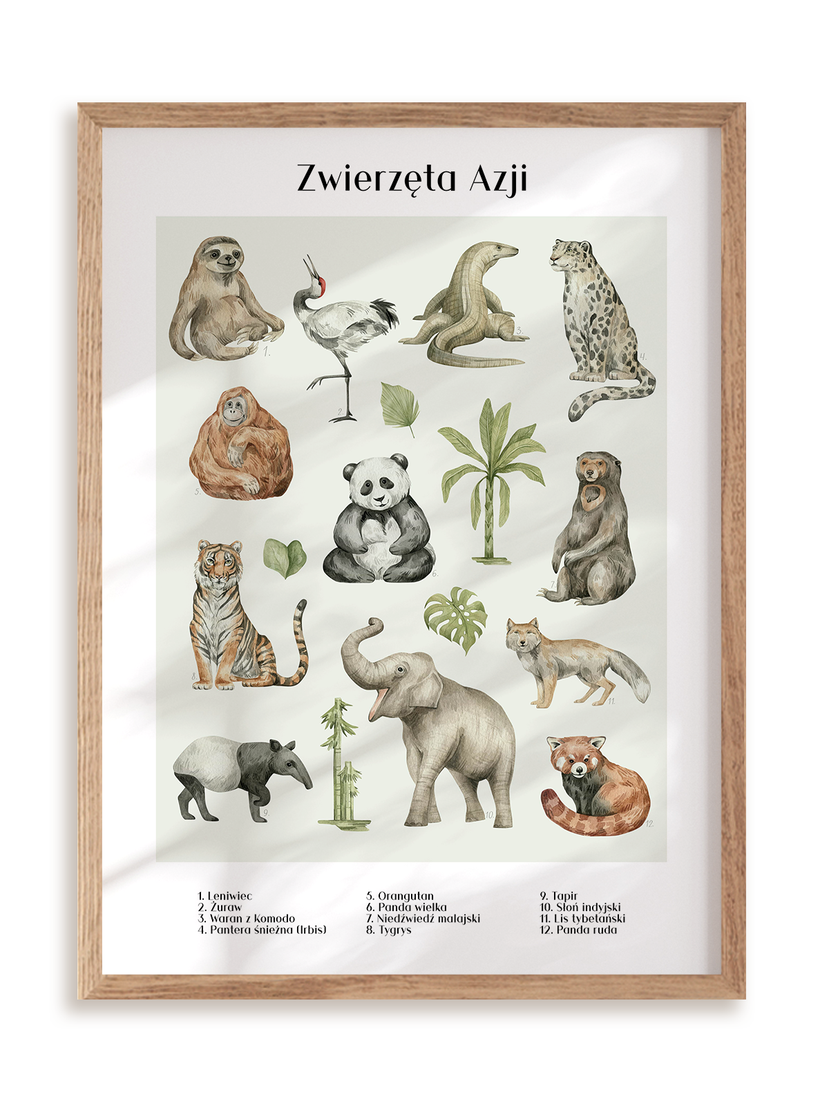 Plakat Zwierzęta w Azji w ramie drewnianej