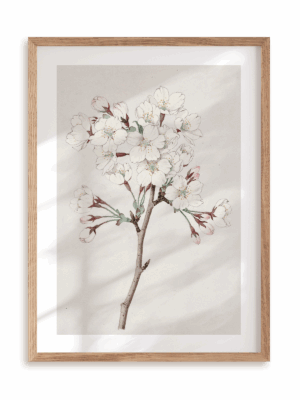 Plakat Orientalny kwiat w ramie drewnianej