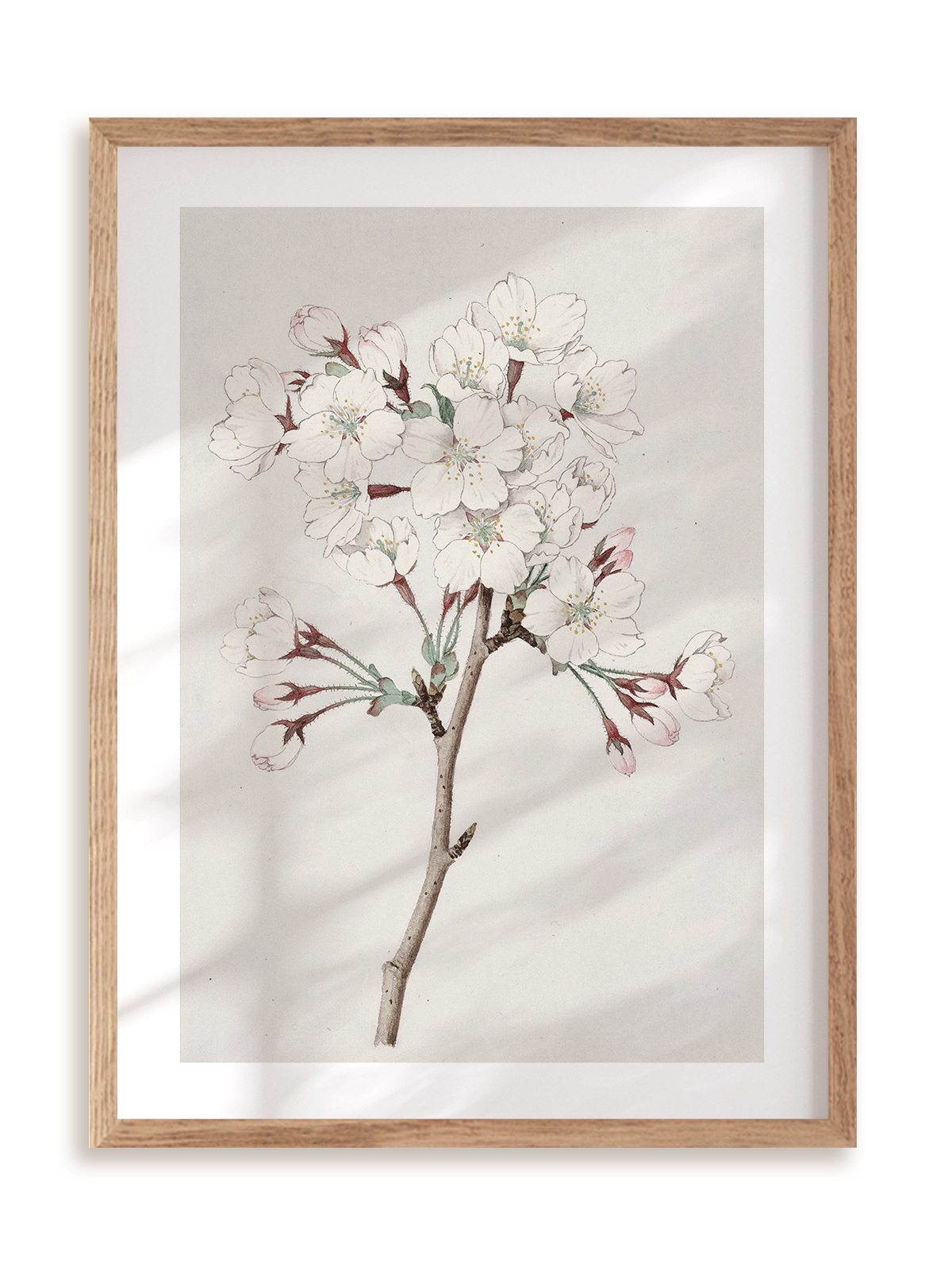 Plakat Orientalny kwiat w ramie drewnianej