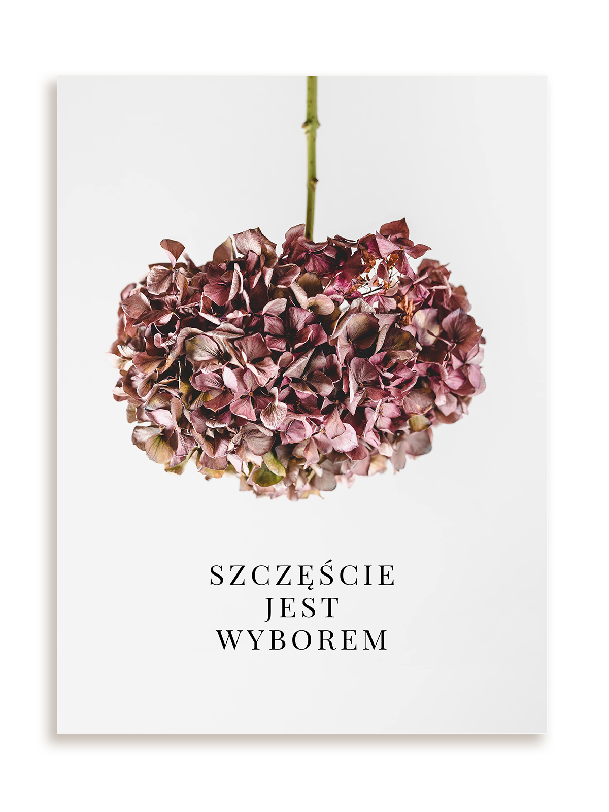 Plakat Szczęście jest wyborem bez ramy