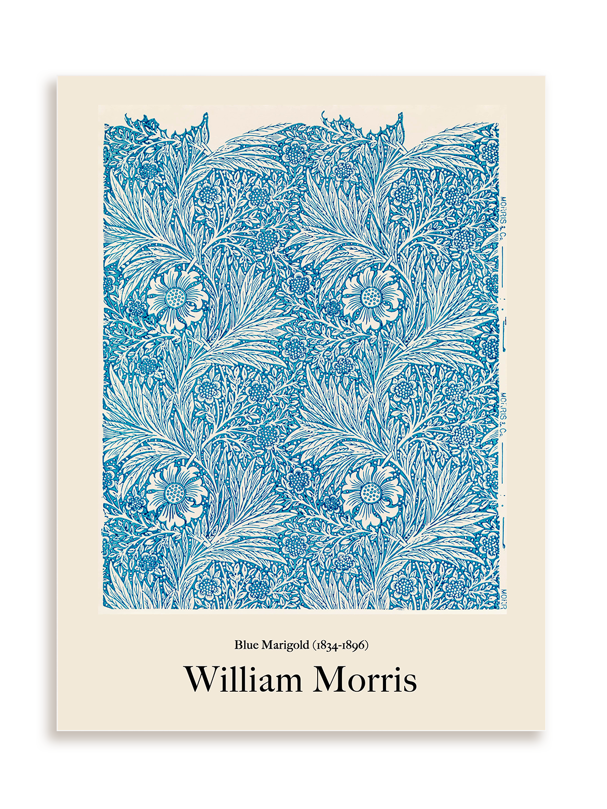 Plakat William Morris - Blue Marigold (1834-1896) bez ramy