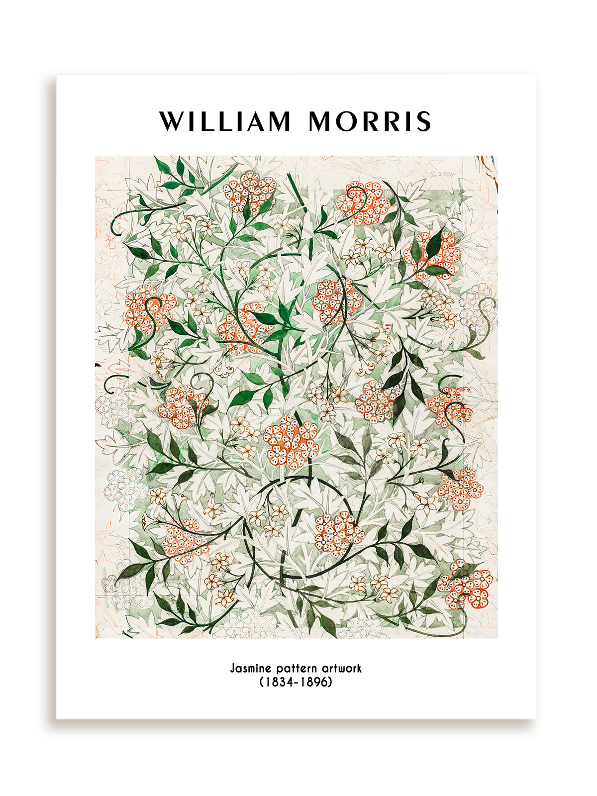 Plakat William Morris - Jasmine pattern artwork (1834-1896) bez ramy