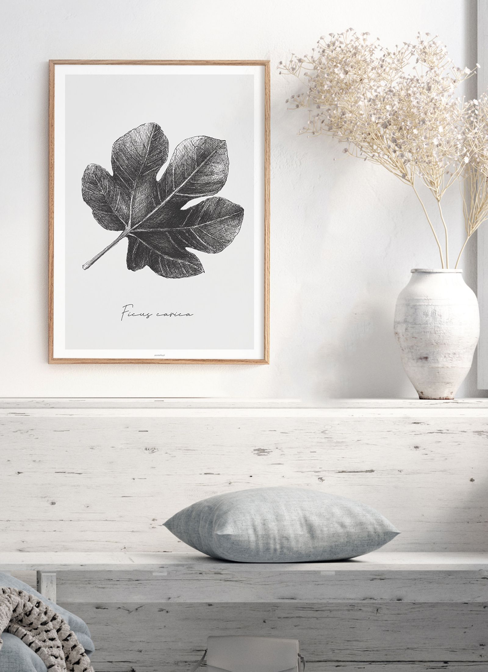 Plakat Ficus carica bez ramy - obrazek 2