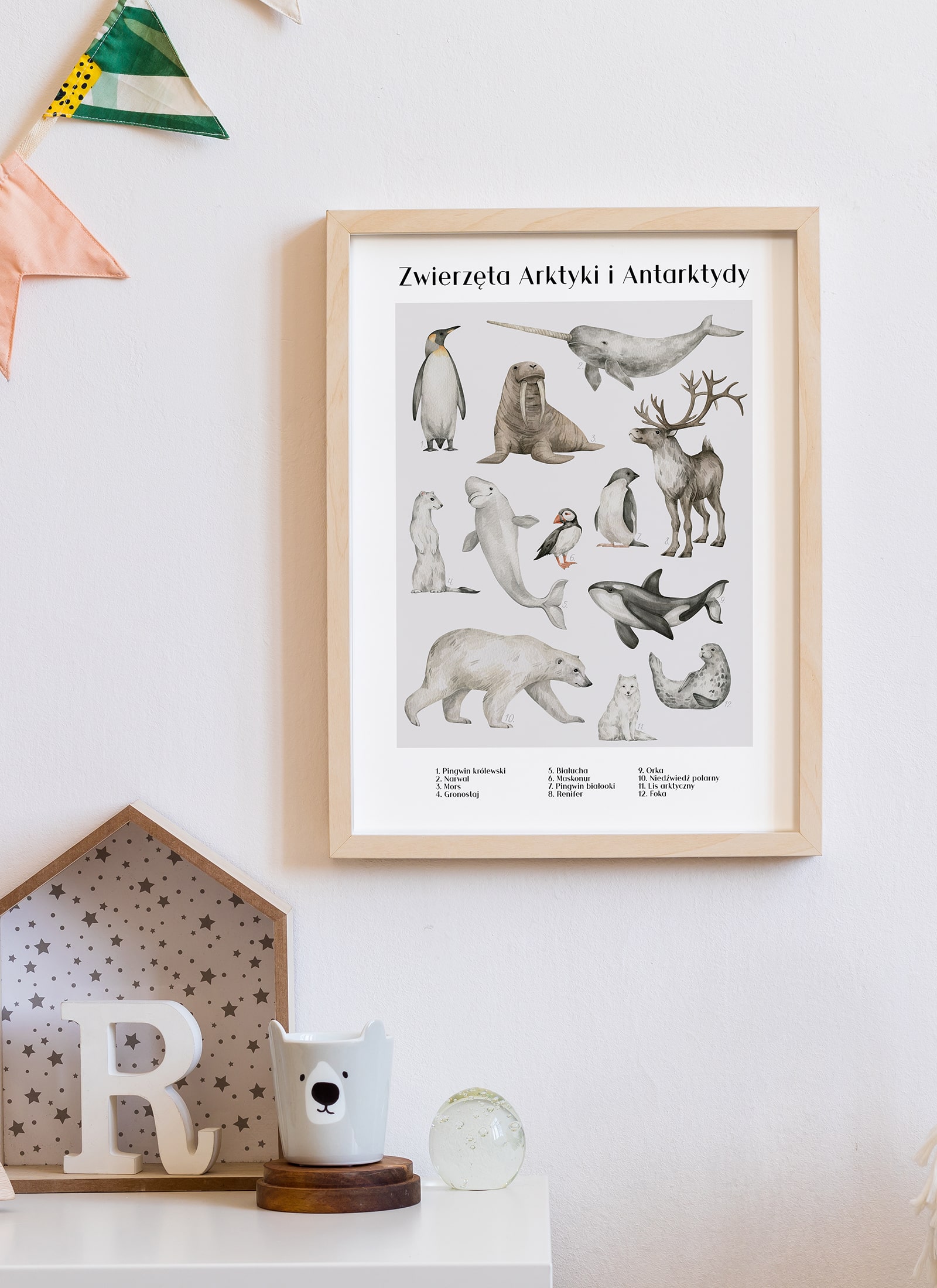 Plakat Zwierzęta Arktyki i Antarktydy bez ramy - obrazek 2