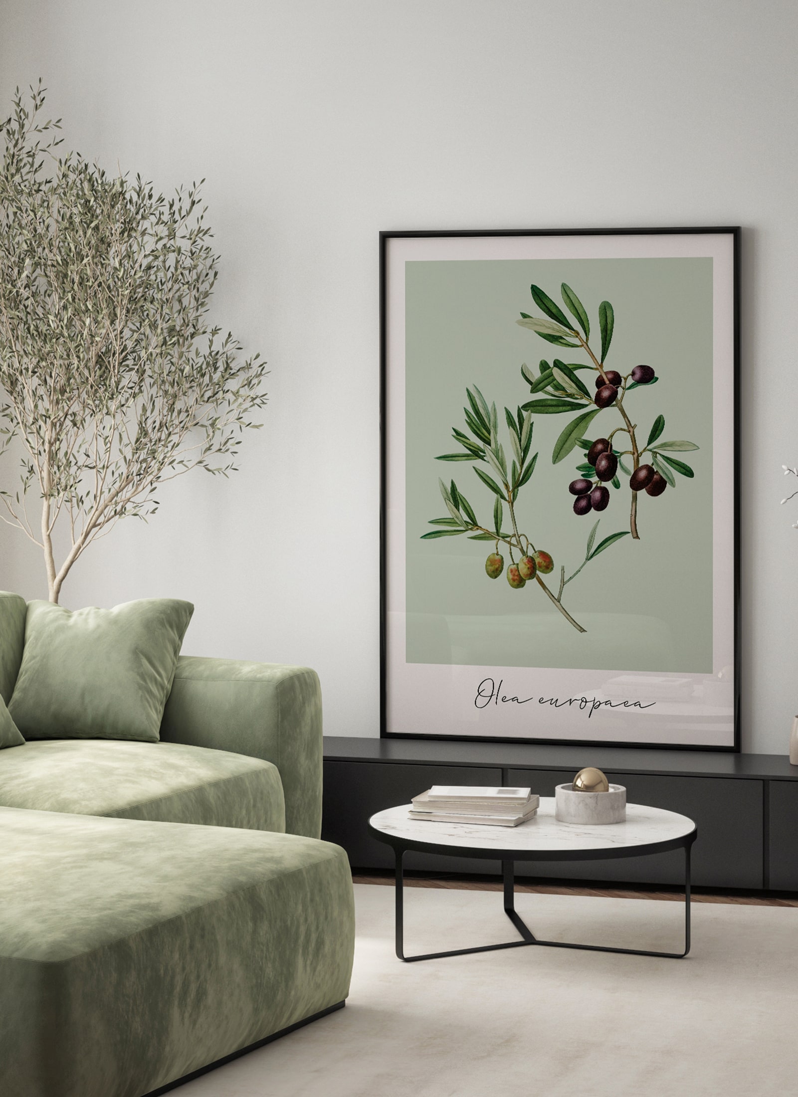 Plakat Olea europaea bez ramy - obrazek 2