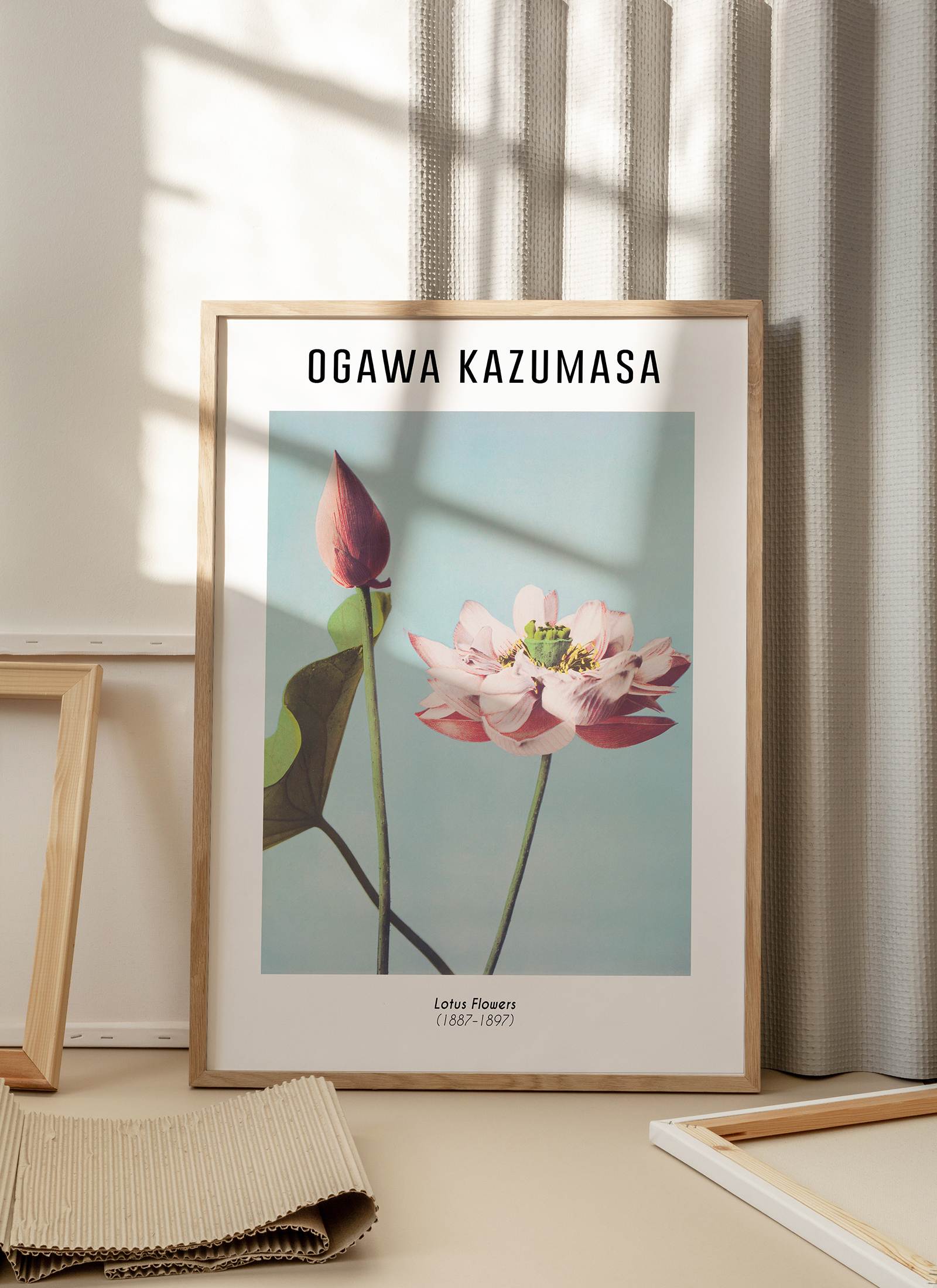 Plakat Ogawa Kazumasa - Lotus Flowers (1887-1897) bez ramy - obrazek 2